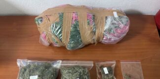 Κατερίνη: Συνελήφθη ένα άτομο για καλλιέργεια και κατοχή ναρκωτικών